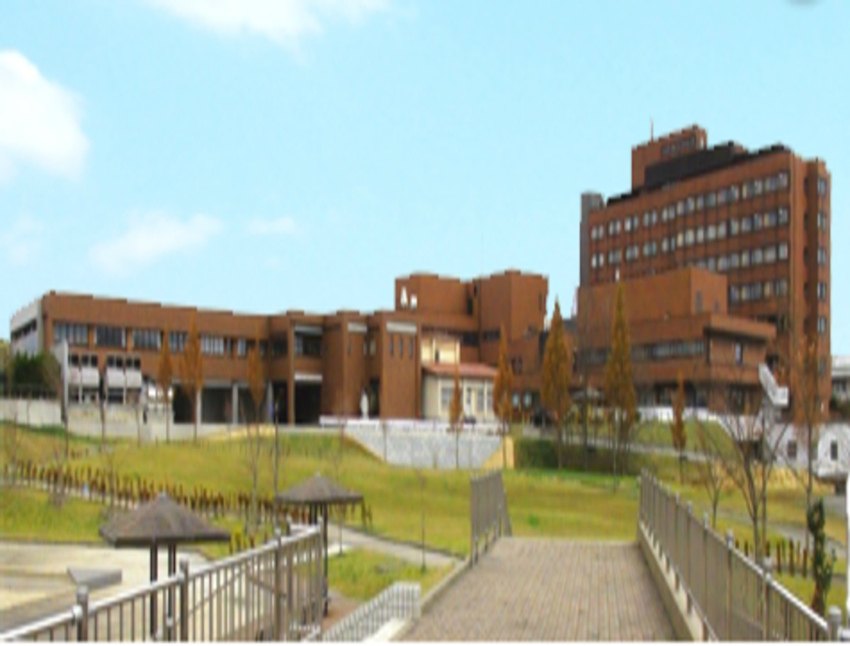 むつ総合病院 産婦人科デビュー Com