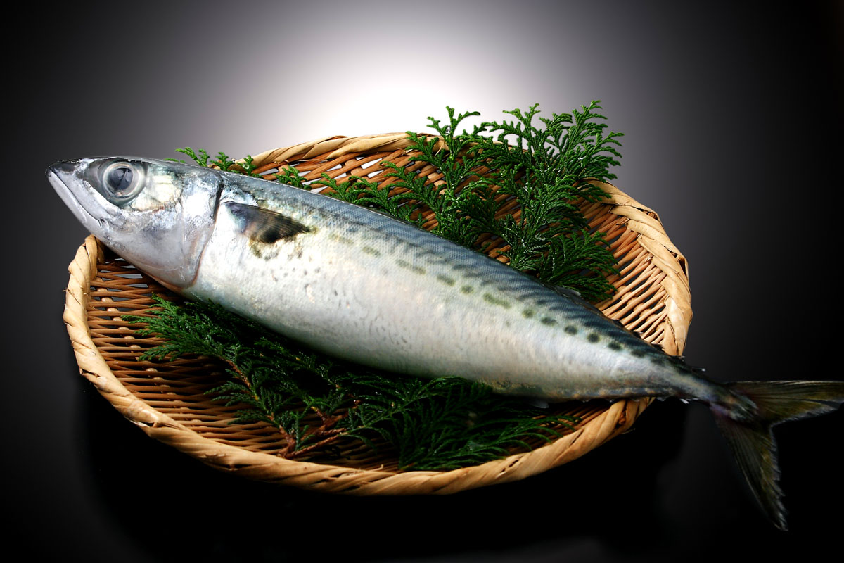 鯖 サバ の栄養と効用 妊娠中におすすめの鯖缶を使った健康な食事 産婦人科デビュー Com